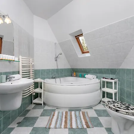 Polana Szymoszkowa With Mountain View By Renters זקופאנה