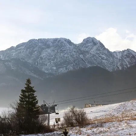 Polana Szymoszkowa With Mountain View By Renters * זקופאנה