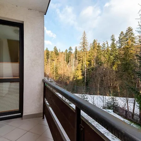 Polana Szymoszkowa With Mountain View By Renters ザコパネ